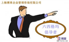 六西格瑪管理中倡導(dǎo)者的職責(zé)是什么？